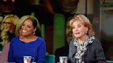 Sherri Shepherd says 'education' Barbara Walters gave her on 'The View' prepped her for new show