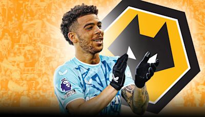 Wolves struck gold on "underrated" star who's worth £20m more than Adams