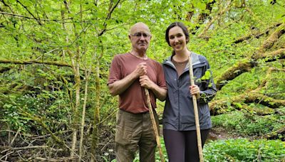 Gearagh native forest: the case for making it Cork’s first national park