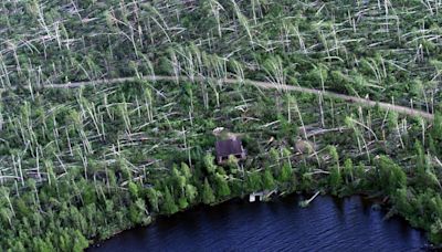 25 years after Boundary Waters blowdown, a changed forest and vivid memories