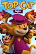 Top Cat Begins