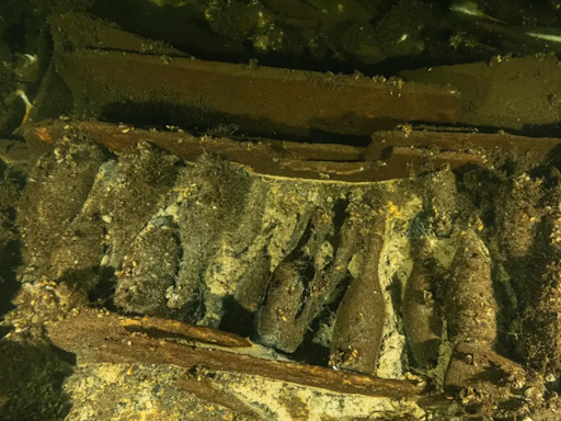 Polish Divers Find 175-Year-Old Champagne Bottles In Shipwreck off Sweden