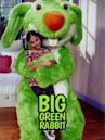 Big Green Rabbit