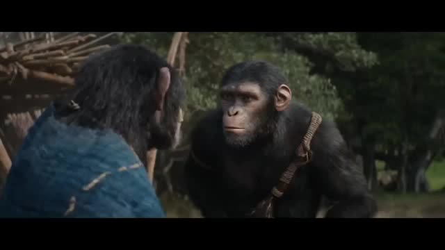 ‘Kingdom of the Planet of the Apes’ reigns at the box office with $56.5 million opening - WSVN 7News | Miami News, Weather, Sports | Fort Lauderdale