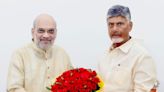 Budget 2024: Chandrababu Naidu urges Centre to extend budgetary support to Andhra Pradesh