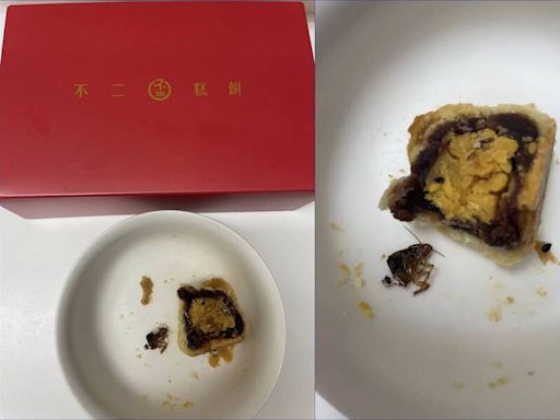 不二糕餅蛋黃酥被爆有蟑螂！業者不排除提告 爆料者再發9點聲明