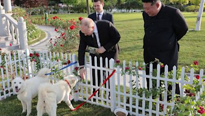 Kim gifts Putin two ‘tiger hunting dogs bred from wolves’ in bromance blossoms