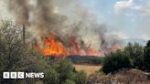 Greece wildfires: Firefighter dies battling forest blaze