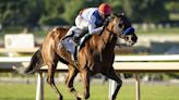 Preakness favorite Muth ruled out of the 2nd leg of the Triple Crown after spiking a fever - WTOP News