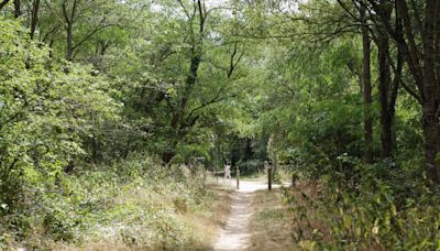 Philippine, sans vie au bois de Boulogne : ce que l’on sait de la mort de l’étudiante de 19 ans