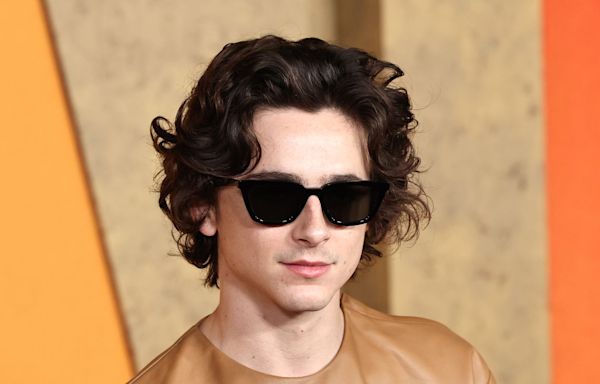 Why Timothée Chalamet Didn’t Walk With Kylie Jenner at the 2024 Met Gala