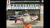 Angler’s 118-pound catch breaks Oklahoma record — and officials are thanking him