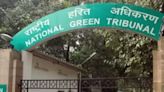 NGT directs govt authorities to implement Chief Secretary's recommendations for drains - ET LegalWorld