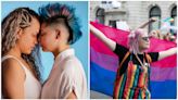 10 Facts You Never Knew About the Bisexual Flag