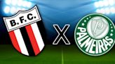 Botafogo x Palmeiras: onde assistir, horário e escalação das equipes