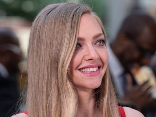 Amanda Seyfried's 'Blind Date' With a Shelter Dog Ends with So Many Smiles