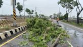 高雄清晨大雨路竹湖內停電3266戶 已復電逾9成