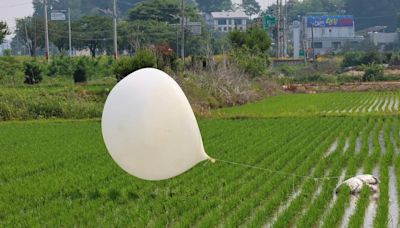 Corea del Sur denunció que el régimen de Kim Jong-un reanudó el envío de globos con basura hacia su territorio