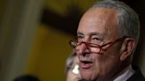 Schumer giving Democratic Senate candidates $15 million from his own campaign