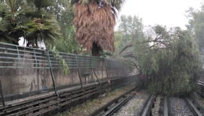 Cae árbol a vías del Metro y afecta Línea 5; servicio solo de Pantitlán a La Raza