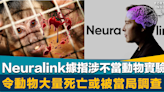 人體晶片植入｜Neuralink據指涉不當動物實驗 令動物大量死亡或被當局調查