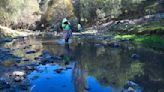 Calidad del agua del río Rocha es “pésima” y vuelven malos olores por cuatro factores