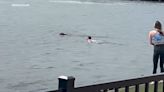 Man jumps into Hudson River to rescue dog