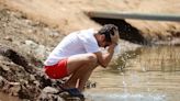 En busca de los 3.000 muertos por el calor en España