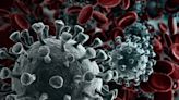 Coronavirus update: 14 hospitalized, one death confirmed in latest Montana COVID case report