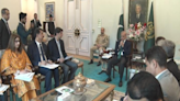 Anti-Polio Drive: PM Shehbaz Sharif Meets With National Polio Eradication Team