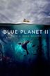 Blue Planet II