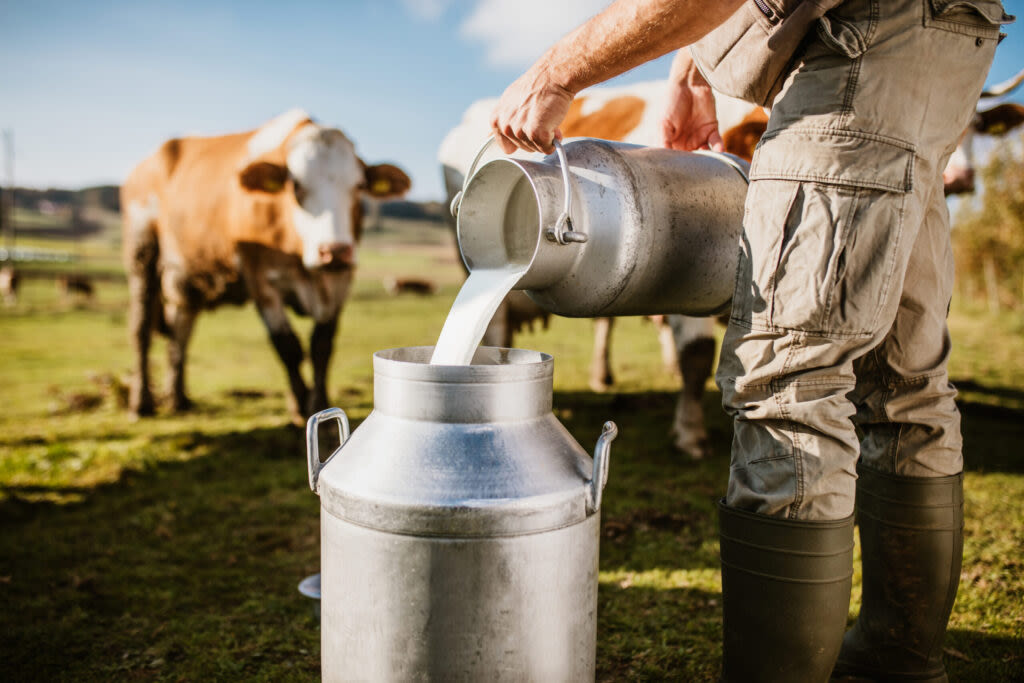 The sale of raw milk is legal in West Virginia starting Friday. Drinking it comes with risks
