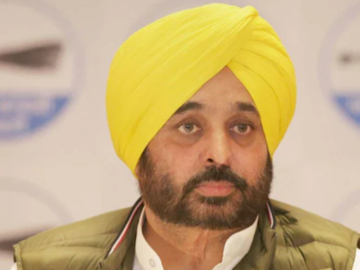 Punjab: CM Bhagwant Mann Announces AAP Will Contest All 90 Haryana Assembly Seats Alone