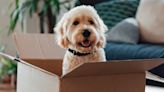 The Top 40 Amazon Prime Day 2024 Pet Deals: Save Big on Earth Rated, Purina, Blue Buffalo & More - E! Online