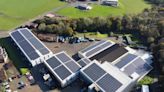 Puffin Produce wins award for solar panel installation