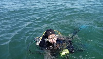 Wight Dolphins welcomes newest member and ocean diver Mark