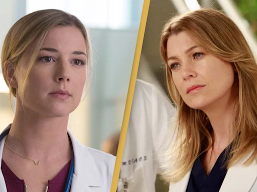 Viewers divided after people claim underrated Netflix series is ‘way better’ than Grey’s Anatomy