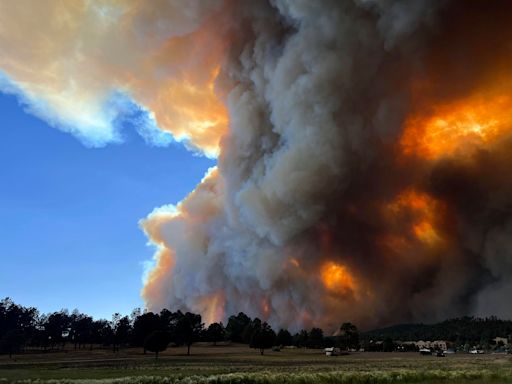 Escape from killer New Mexico wildfire was 'absolute sheer terror,’ says woman who fled the flames