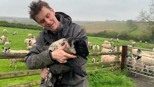 Scraptoft farmer 'heartbroken' as lamb killed in dog attack