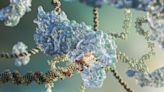 New strategy suppresses unwanted deletion events to make genome editing safer and more precise