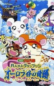 Gekijô ban Tottoko Hamutaro: Ôrora no kiseki - Ribon chan kiki ippatsu!