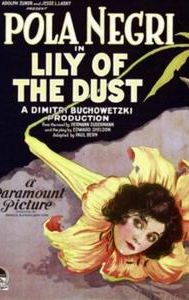 Lily of the Dust