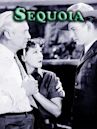 Sequoia (1934 film)
