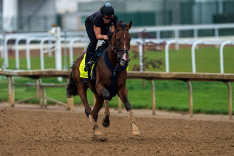 Dornoch 'Ready' for KY Derby After Receiving Hoof Care
