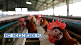 Biotech stocks are rising alongside bird flu fears