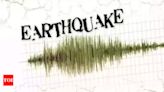 Earthquake of magnitude strikes Ladakh | India News - Times of India