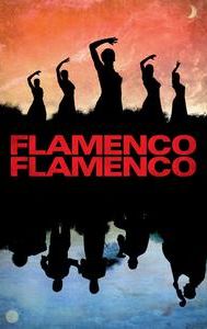 Flamenco, Flamenco