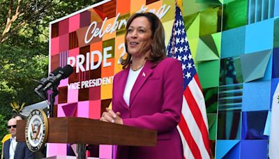 LGBTQ leaders, celebrities line up behind Harris