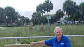 Boardwalk: Vero Beach loses core values; VB, Fort Pierce fail on King's Landing; 3 Corners