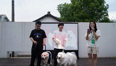 Puppy love: Canine weddings on the rise in China